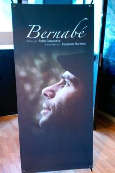  Banderas AAP X BANNER